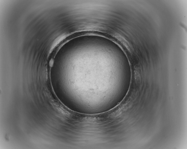 X0000096951069200802081224