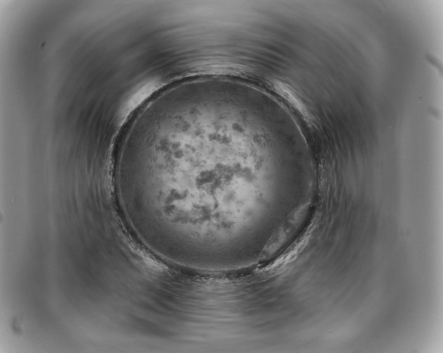 X0000096951071200802081224