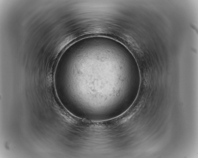 X0000096951073200802081224