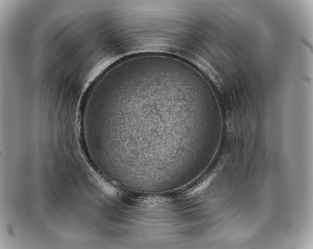 X0000096951077200802081224