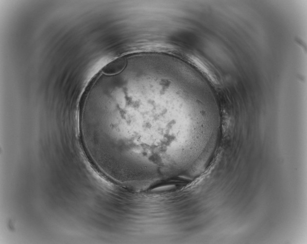 X0000096951079200802081224