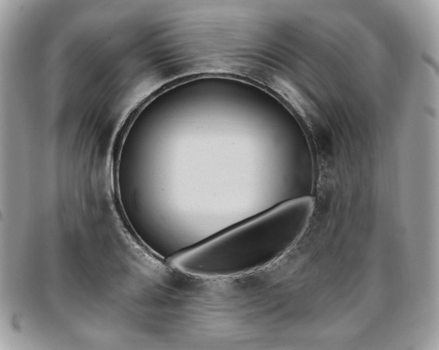 X0000096951080200802081224