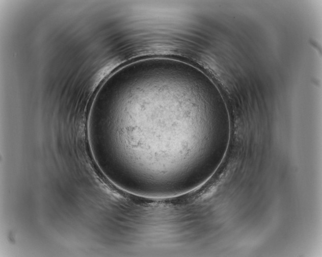 X0000096951081200802081224