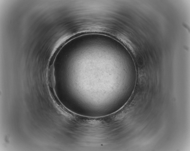 X0000096951085200802081224