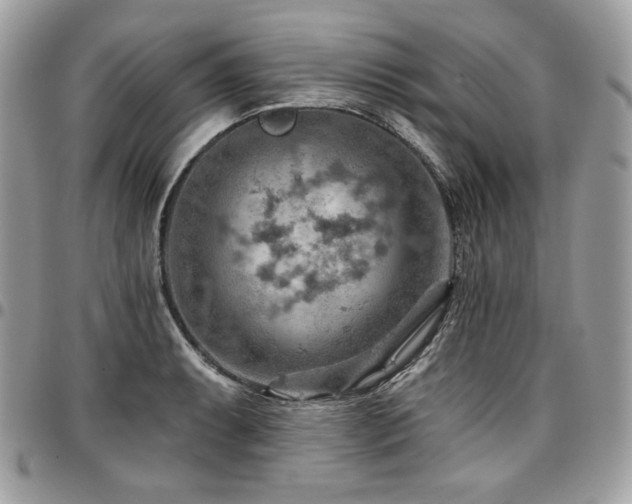 X0000096951087200802081224