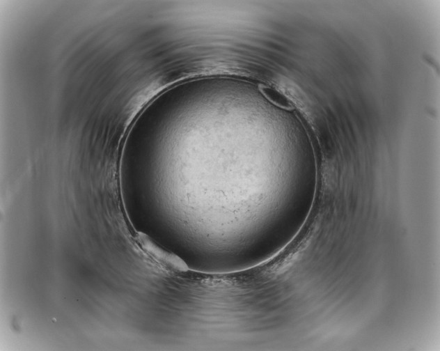 X0000096951089200802081224