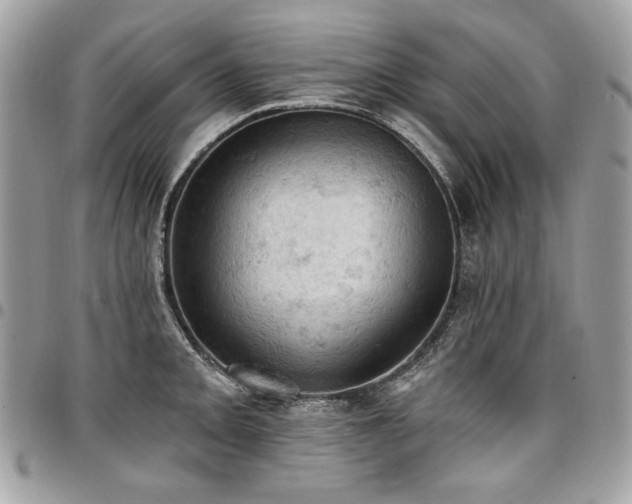 X0000096951093200802081224