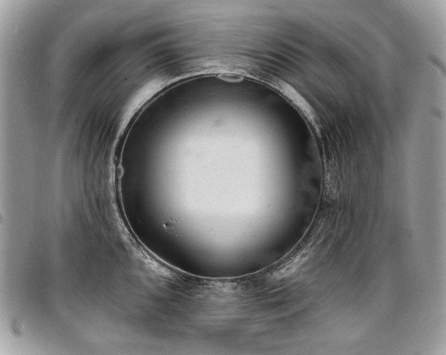 X0000096951096200802081224