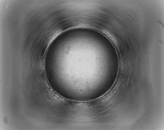 X0000096951097200802081224