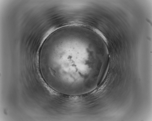 X0000096951099200802081224