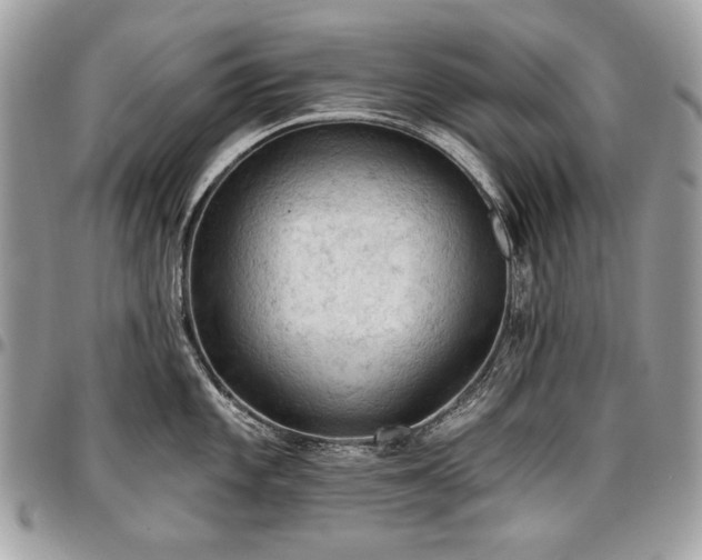 X0000096951101200802081224
