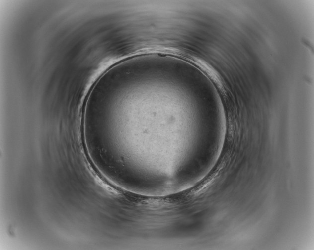 X0000096951102200802081224