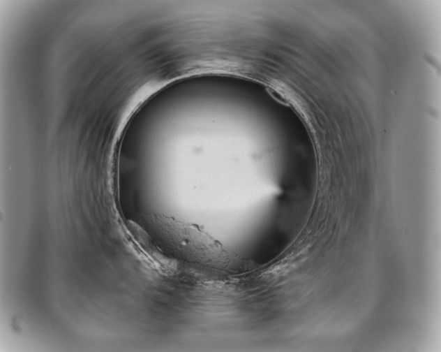X0000096951104200802081224