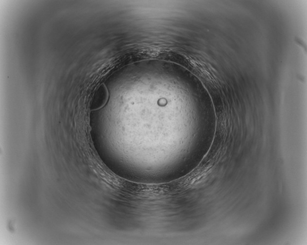 X0000096951105200802081223