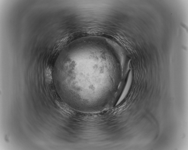 X0000096951106200802081223