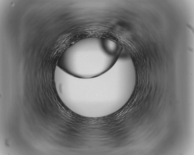 X0000096951108200802081223