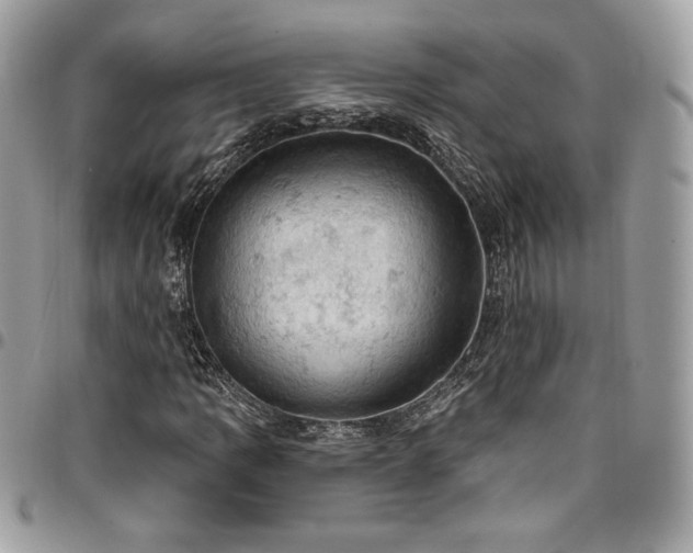 X0000096951109200802081223