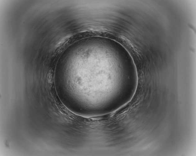 X0000096951110200802081223