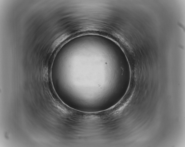 X0000096951113200802081223