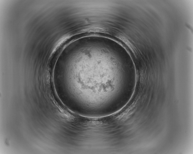 X0000096951115200802081223