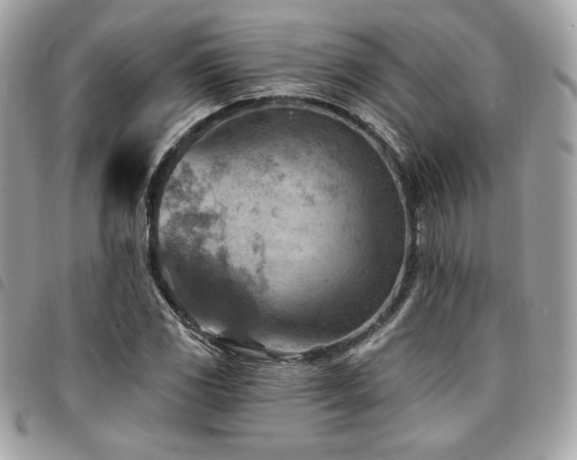 X0000096951117200802081223