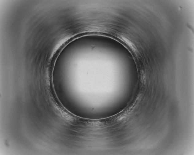 X0000096951120200802081223