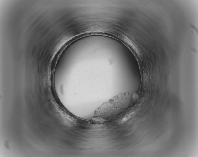 X0000096951124200802081223