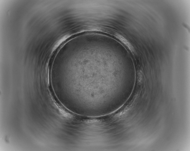 X0000096951127200802081223