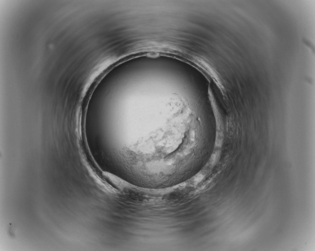 X0000096951128200802081223