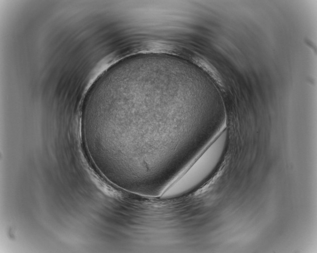 X0000096951130200802081223