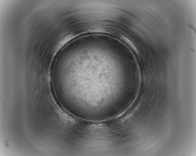 X0000096951133200802081223