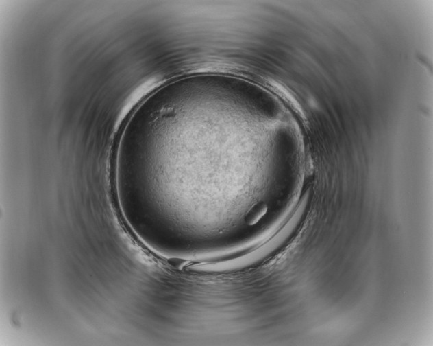 X0000096951138200802081223