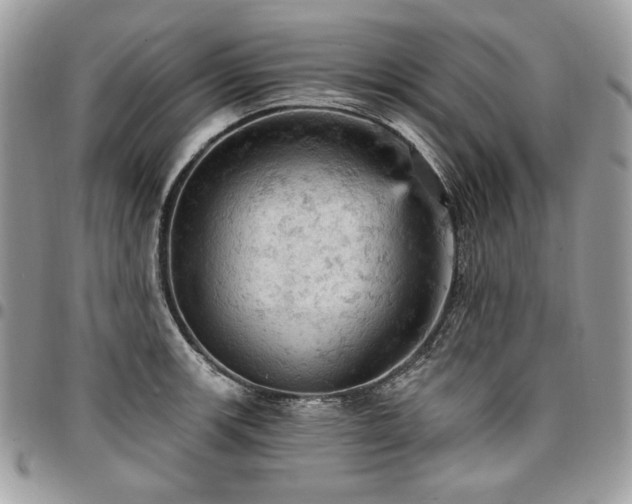 X0000096951139200802081223