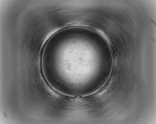 X0000096951149200802081223