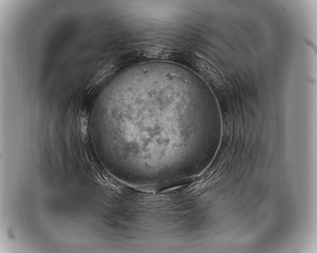 X0000096951154200802081223