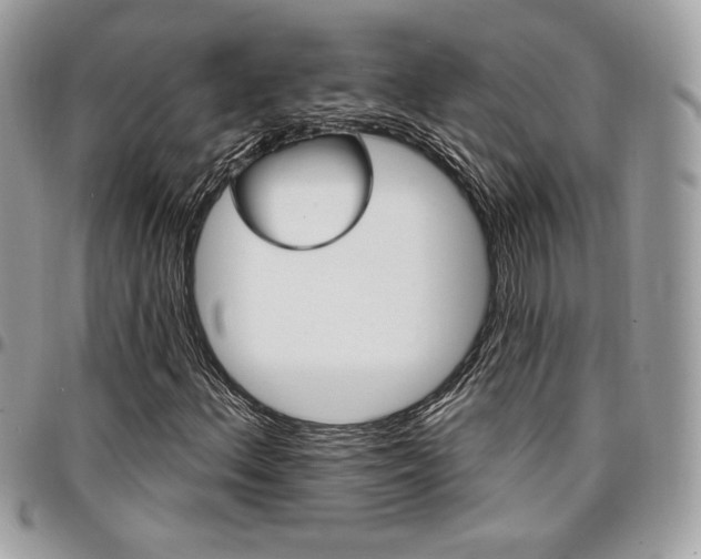 X0000096951156200802081223