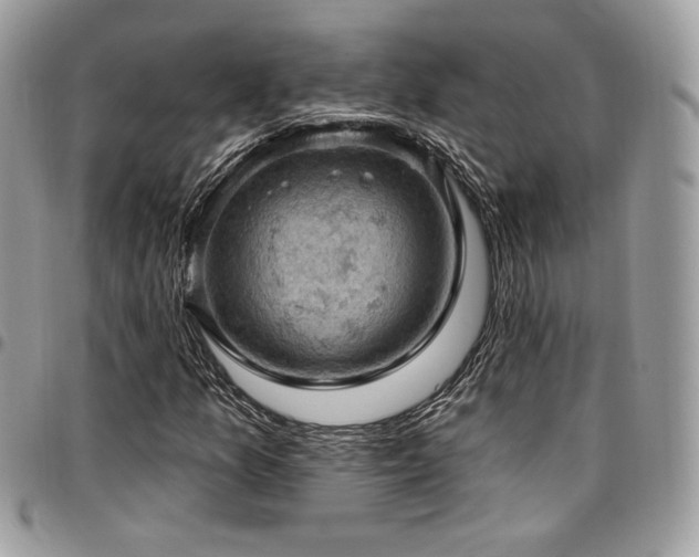 X0000096951157200802081223