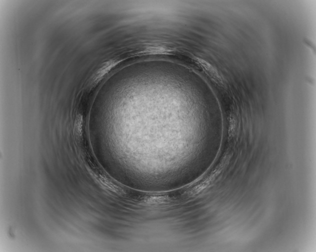 X0000096951161200802081223