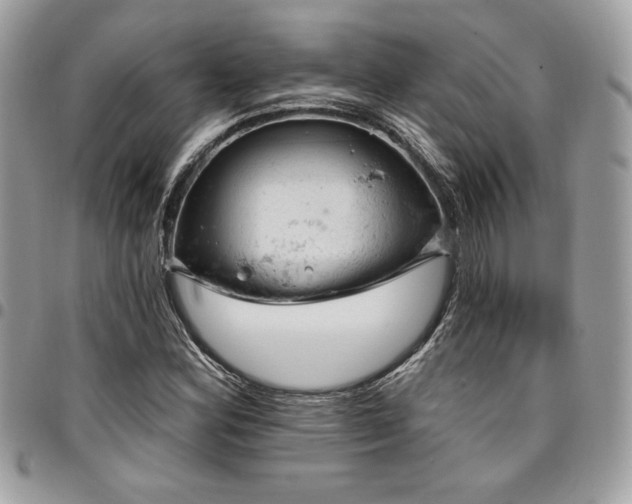 X0000096951164200802081223