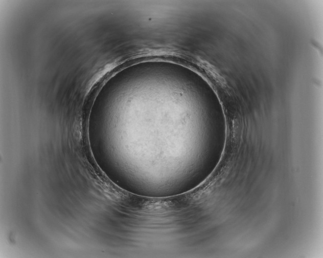 X0000096951165200802081223