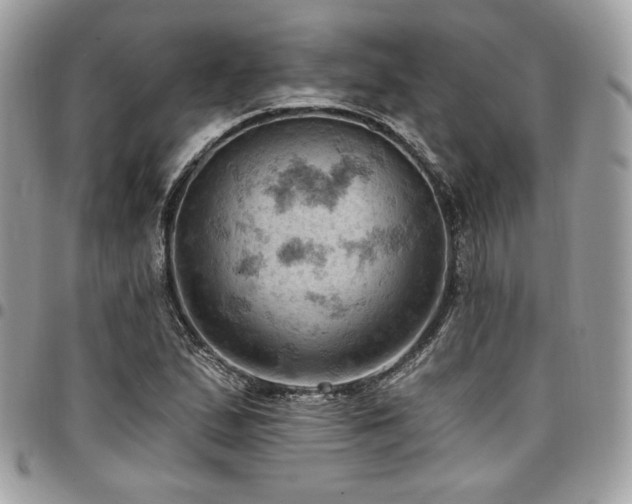 X0000096951167200802081223