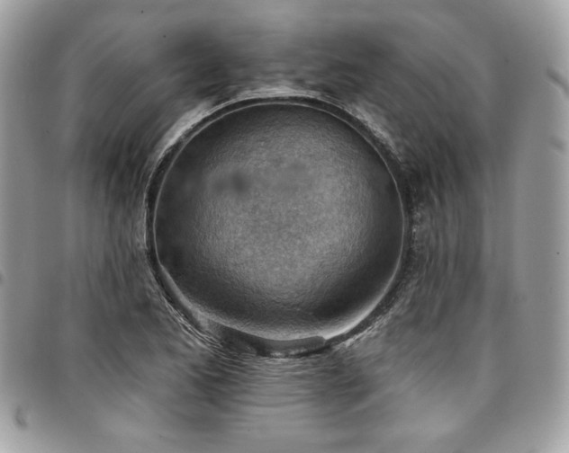 X0000096951173200802081223