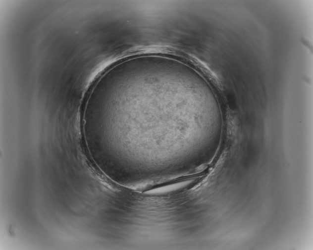 X0000096951174200802081223