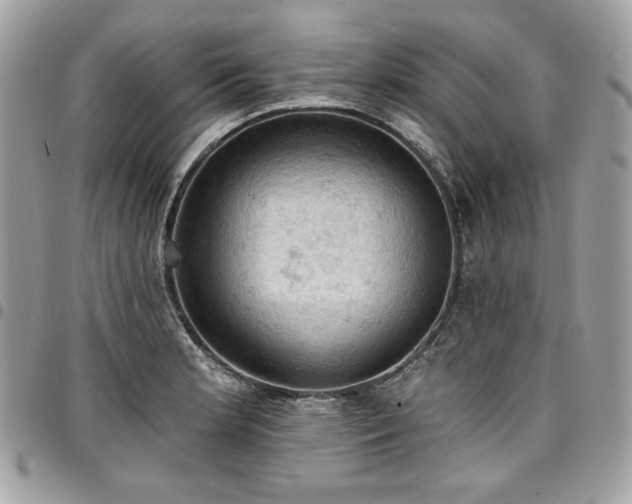 X0000096951181200802081222