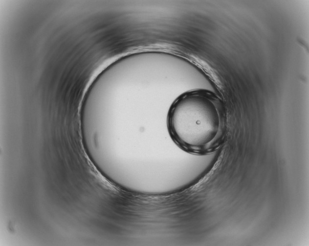 X0000096951184200802081222