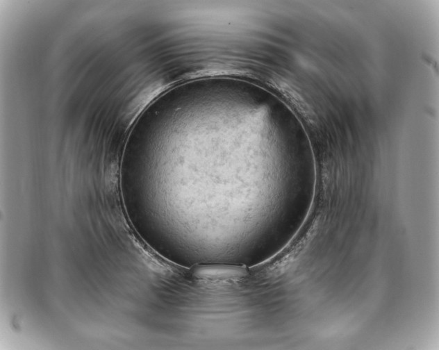 X0000096951185200802081222