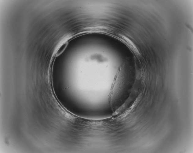 X0000096951196200802081222