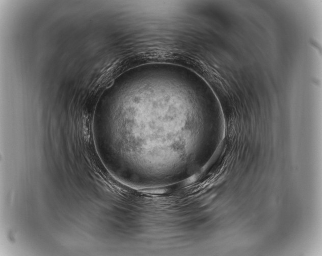 X0000096951202200802081222