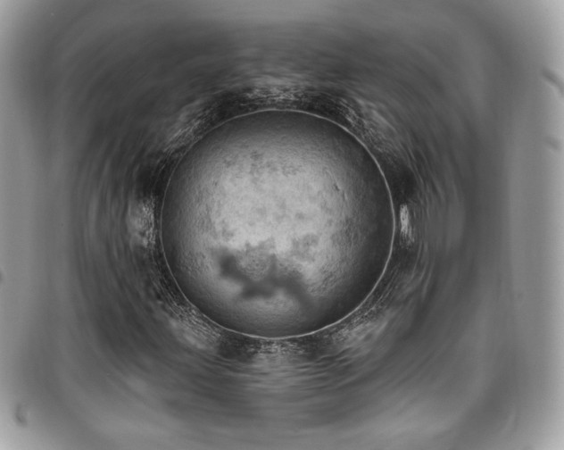 X0000096951203200802081222