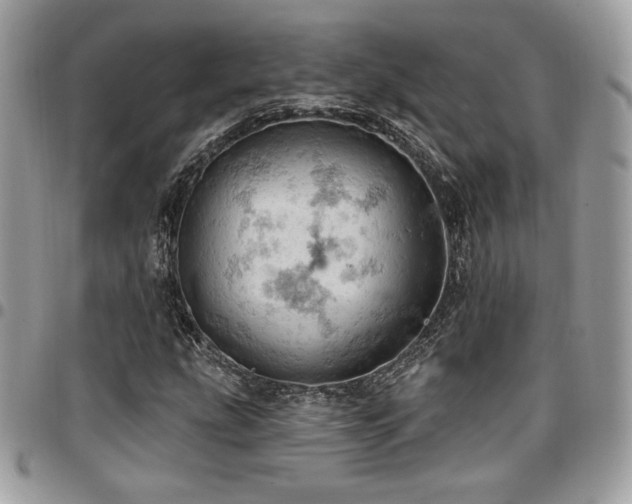 X0000096951207200802081222
